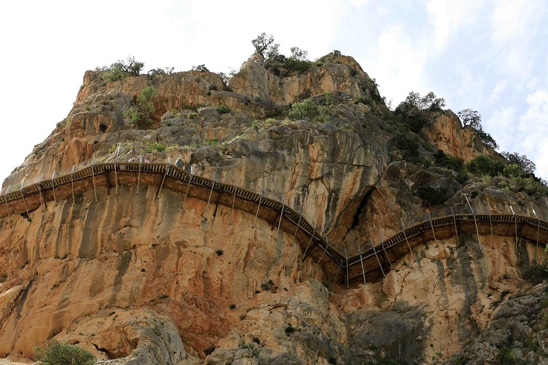 Puente colgante (2900 m. recorridos)