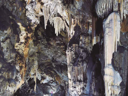 Ardales cave