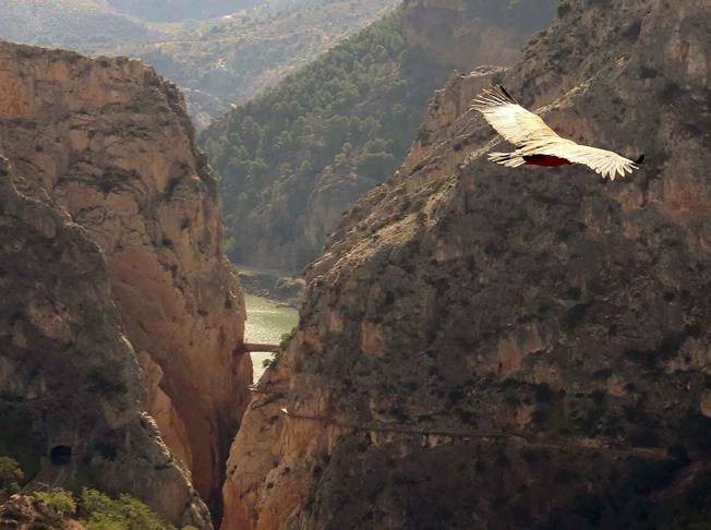 Imagen aérea de El Caminito del Rey